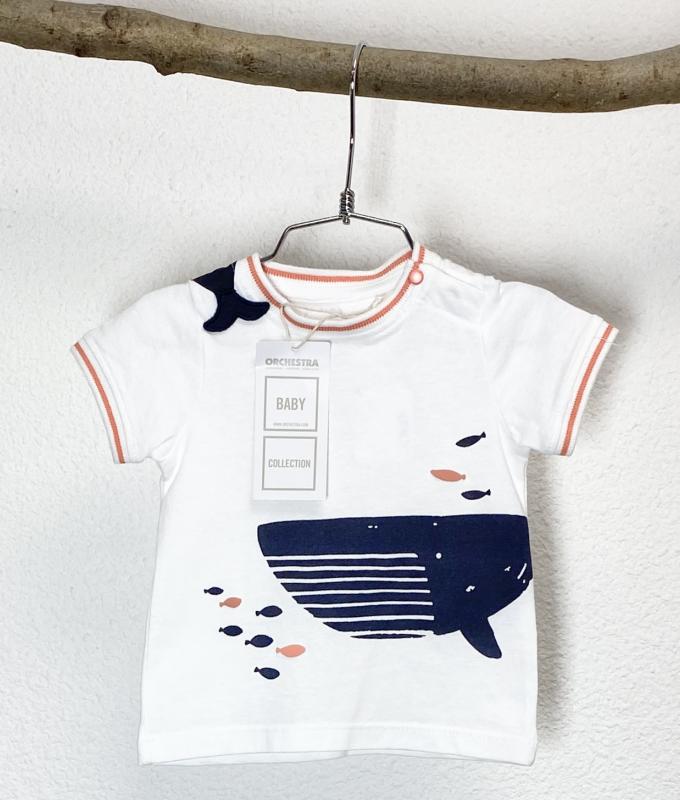 TShirt Garçon 6 mois