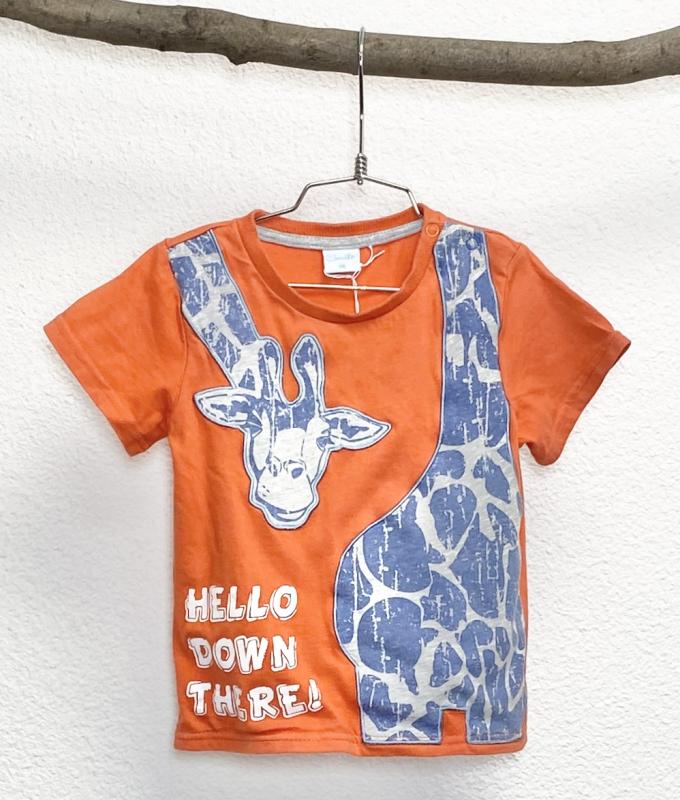 TShirt Garçon 24 mois