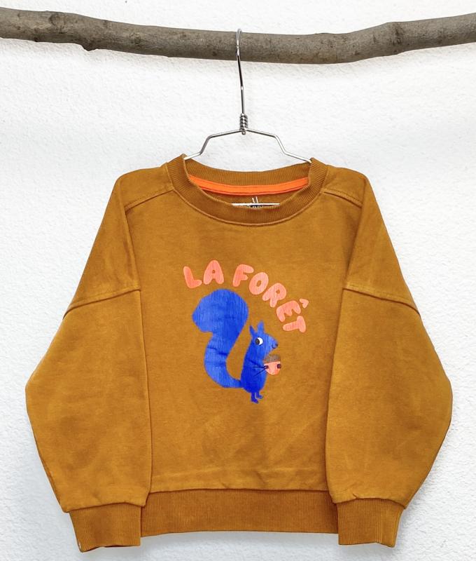Sweat Garçon 4 ans