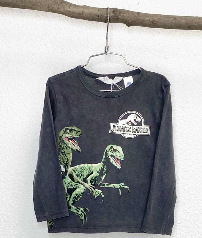 TShirt Garçon 24 mois