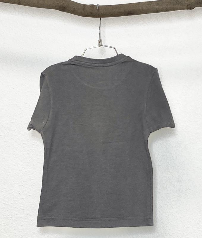 TShirt Garçon 24 mois