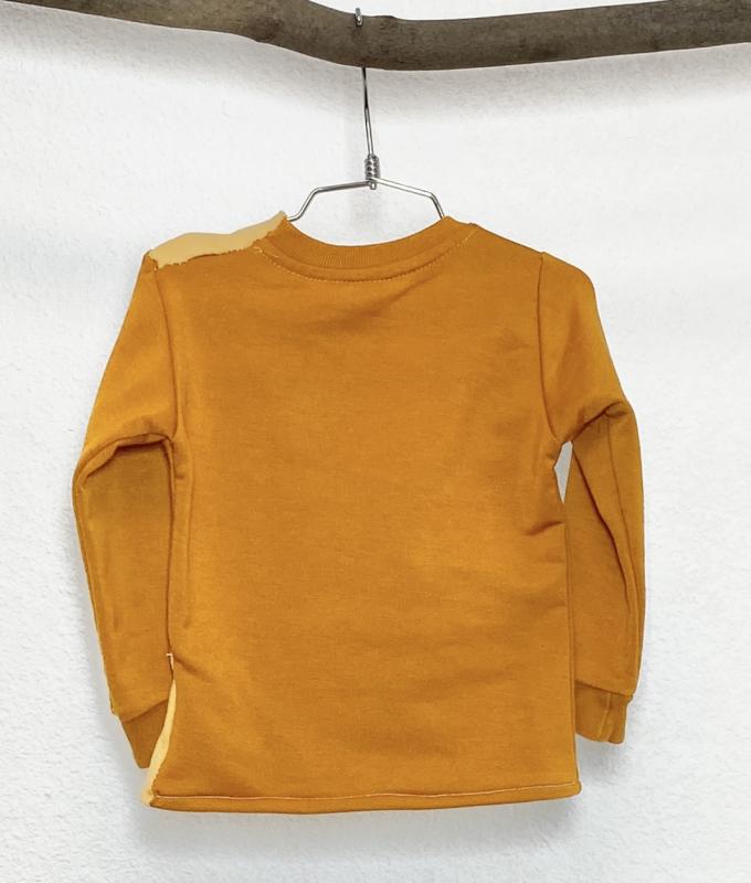 Sweat Garçon 12 mois