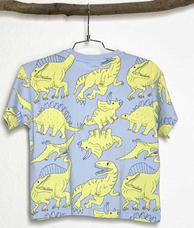 TShirt Garçon 6 ans