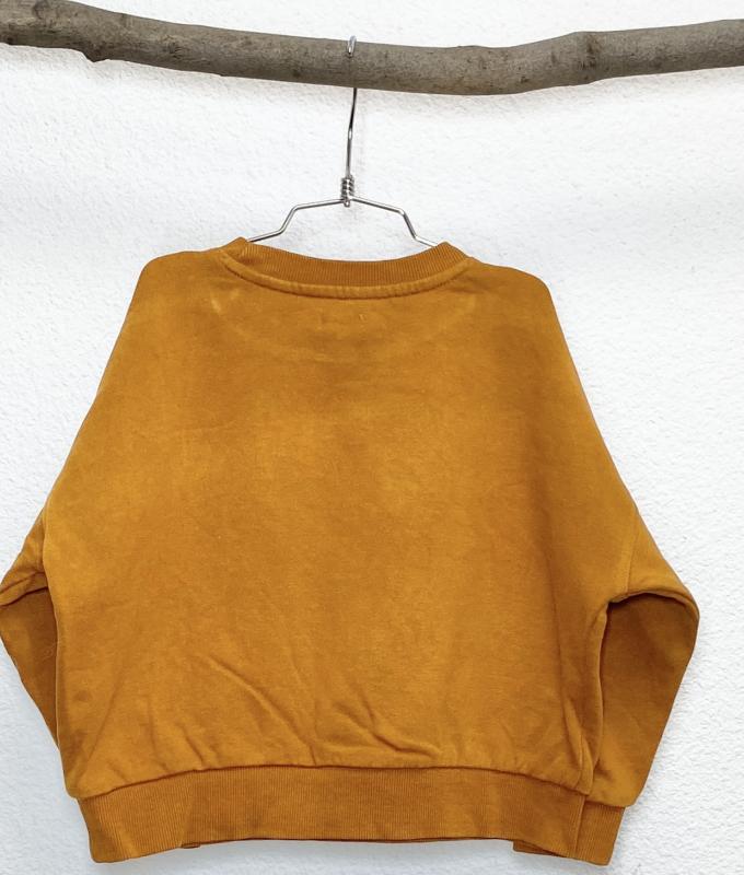 Sweat Garçon 4 ans